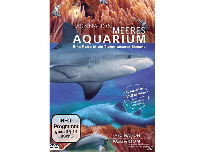 Faszination Meeres Aquarium DVD von BUSCH