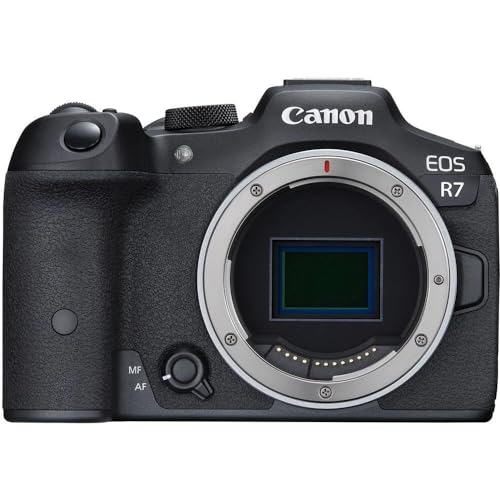 Canon EOS R7 Kamera spiegellose Camera (DSLR Upgrade, Hybridkamera, 4K/30p Videoaufnahmen, bis zu 15 B/s, WLAN, Deep-Learning Dual Pixel CMOS AF II Fokussystem) schwarz von Canon