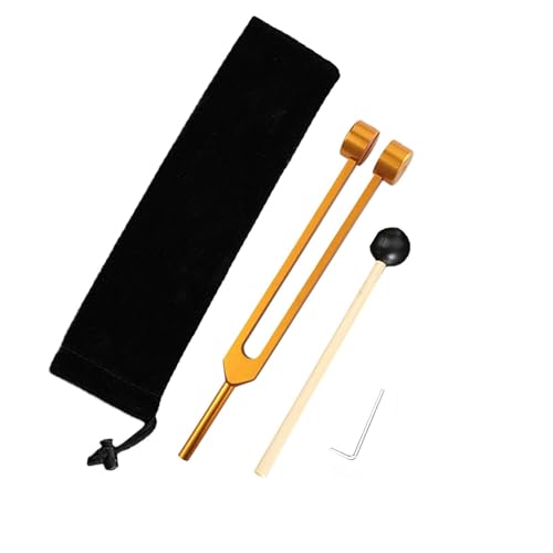 Colcolo Stimmgabel-Set, Prüfgabel zum Ohrenpflücken mit Hammer und Aufbewahrungstasche, Hörhilfe-Werkzeug, Ohrenreinigungsmittel für zu Hause, 24.5cm Gold von Colcolo
