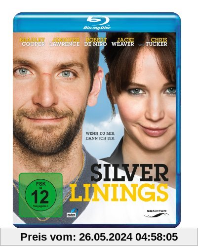 Silver Linings [Blu-ray] von David O. Russell