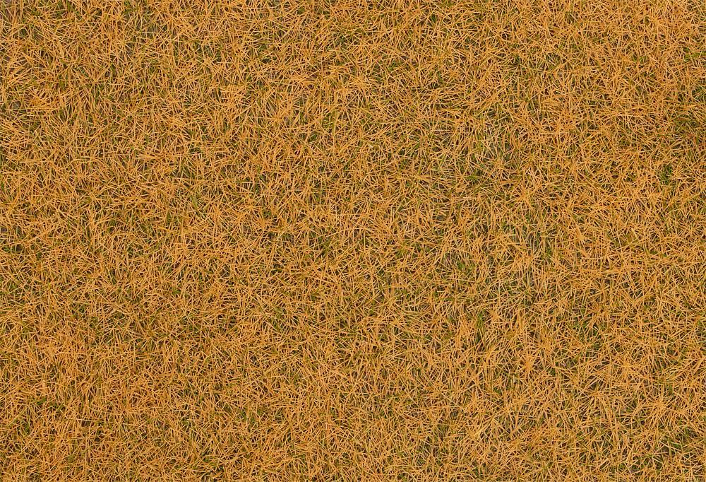 Streufasern Wildgras, verdorrt, 4 mm (80 g) von Faller