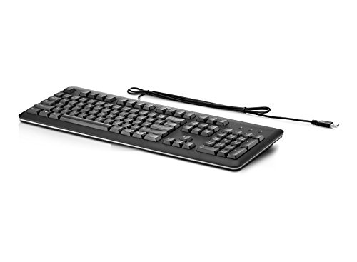 HP QY776AA#ABD Tastatur (USB) schwarz von HP