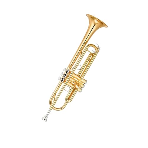 Trompete Einsteiger-Standard-B-Trompeteninstrument für Anfänger für Spielen professioneller Blasinstrumente von HUNYNB