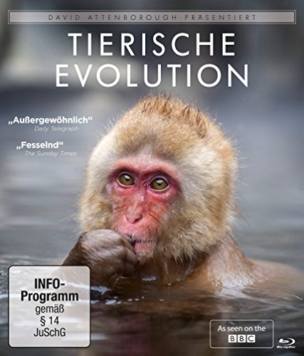 David Attenborough: Tierische Evolution [Blu-ray] von Koch Media GmbH
