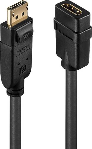 LINDY 41005 Adapterkabel [1x DisplayPort Stecker - 1x HDMI-Buchse] Schwarz 15.00cm von Lindy