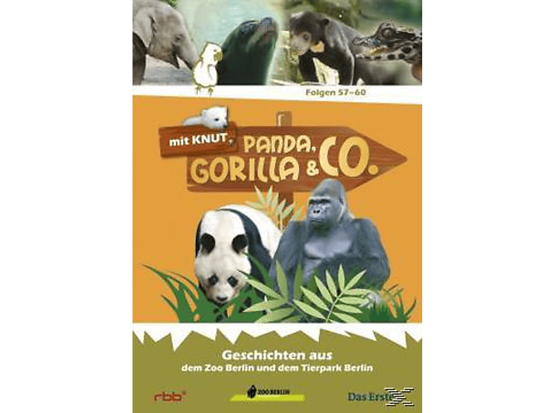 Panda, Gorilla & Co. Vol.7 (Folgen 57-60) DVD von RB