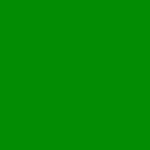 3 Stück LEE Nr. 139 Primary Green - 24 x 24 cm transparente, hitzebeständige, farbige Farbfolie für Foto Studio PAR 64 Scheinwerfer - Gel Farbfilter Filter Folie (3 Stück, Lee 139 Primary Green) von Varytec