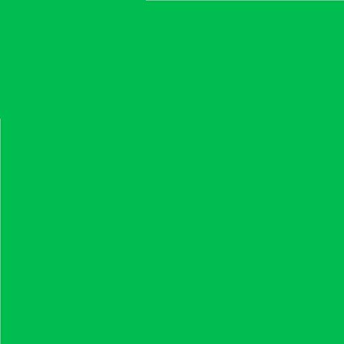 4 Stück LEE Nr. 124 Dark Green/Dunkel Grün - 24 x 24 cm transparente, hitzebeständige Farbfolie für Foto Studio PAR 64 Scheinwerfer - Farbfilter Filter Folie (4 Stück, Lee 124 Dark Green) von Varytec
