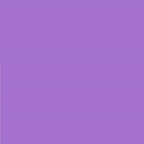 LEE Nr. 170 Deep Lavender - 24 x 24 cm transparente, hitzebeständige, farbige Farbfolie für Foto Studio PAR 64 Scheinwerfer - Gel Farbfilter Filter Folie (1 Stück, Lee 170 Deep Lavender) von Varytec