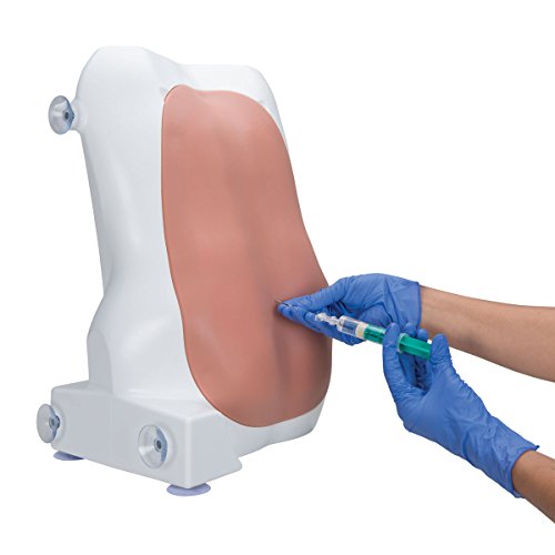 3B Scientific Epidural- und Spinalinjektions Trainer 3B Scientific Epidural- und Spinalinjektions Trainer von 3B Scientific