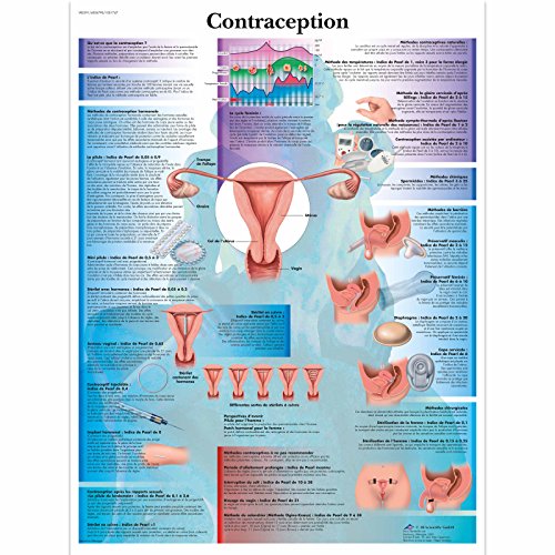 3B Scientific Lehrtaffel laminiert - Contraception - Französisch 3B Scientific Lehrtaffel laminiert - Contraception - Französisch von 3B Scientific