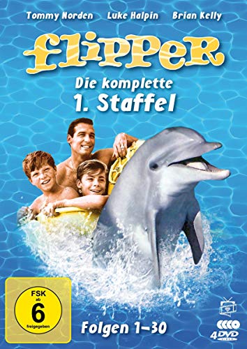 Flipper - Die komplette 1. Staffel (Fernsehjuwelen) [4 DVDs] von AL!VE