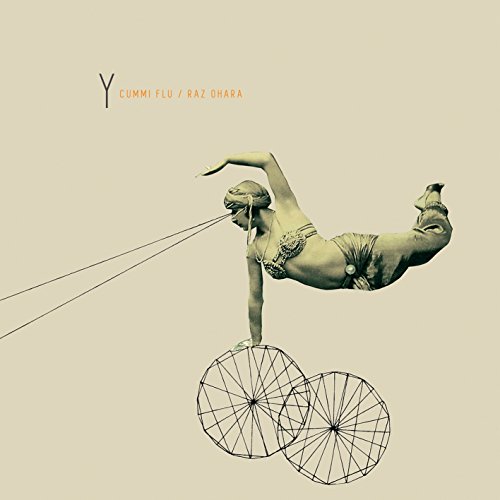 Y [Vinyl LP] von ALBUMLABEL