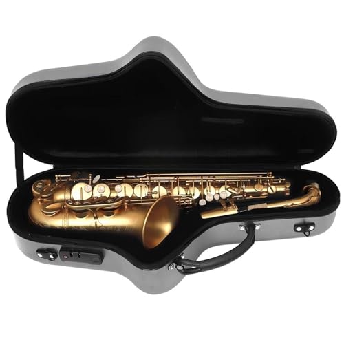 Professional Alto Saxophone in E flat Altsaxophon Mit Es-Ton Messingrohrkorpus Saxophon Mit Box Strap Reed-Zubehör von ALFAAL