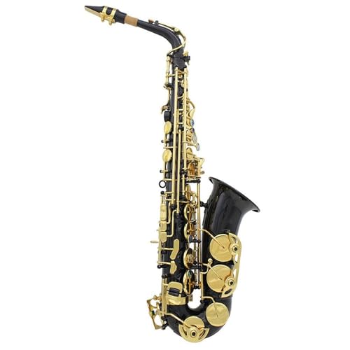 Professional Alto Saxophone in E flat E-Dur-Altsaxophon Aus Messinglackiertem Gold Mit Abgestuftem Spielsaxophon Und Schönem Aussehen(B) von ALFAAL