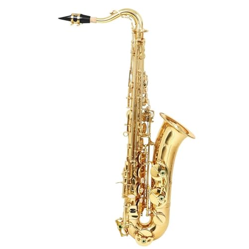 Professional Alto Saxophone in E flat Goldenes Altsaxophon C-Tasten-Saxophon Anfänger Mit Etui Rohrblatt-Set Handschuhe Halsband Ständer Teile(A) von ALFAAL