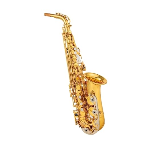 Professional Alto Saxophone in E flat Professionelles Alt-Es-Saxophon Goldenes Alt-Saxophon Leicht Zu Spielen Für Anfänger Mit Instrumententasche(B) von ALFAAL