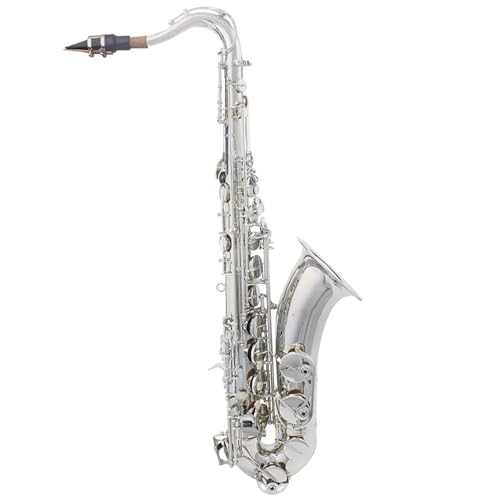 Professional Alto Saxophone in E flat Silbriges Tenor-Saxophon Professionelles Holzblasinstrument Mit Saxophon-Tenor-Zubehör Messing-Saxofon-Musikinstrumente(A) von ALFAAL