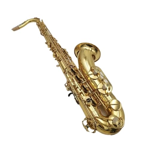 Professional Alto Saxophone in E flat Tenor-Saxophon Goldlack Professionelles Tenorsaxophon Mit Etui Rohrblatthals Anfänger Und Erwachsene(A) von ALFAAL