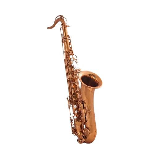 Professional Alto Saxophone in E flat Tenor-Saxophon Holzblasinstrument B-Flat Professioneller Anfänger Erwachsene Performance-Band Blechbläser von ALFAAL