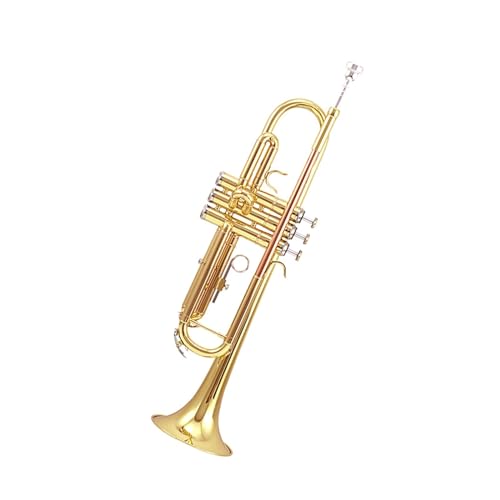 Standard Trompete Phosphor-Messing-Trompeteninstrument B-Trompete Lack-Gold-Messinginstrument für Anfänger für Spielen von ALFAAL