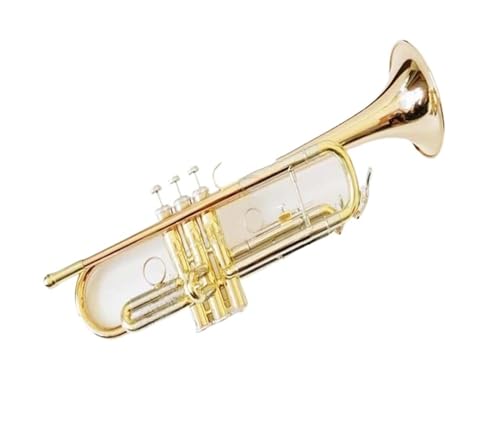 Standard Trompete Phosphorbronze Horn Trompete Blasinstrument Mittelstufe Trompete exquisite Trompete in B-Dur von ALFAAL