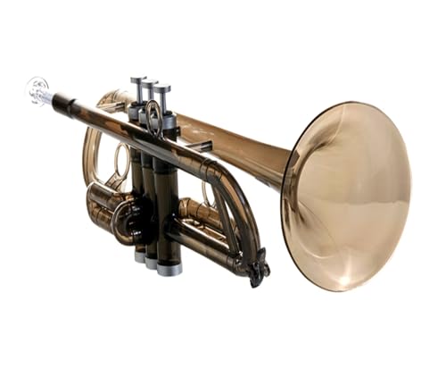 Standard Trompete Professionelles Musikinstrument B-Plastiktrompete Westliches Blasinstrument Trompete professionelle Leistung von ALFAAL
