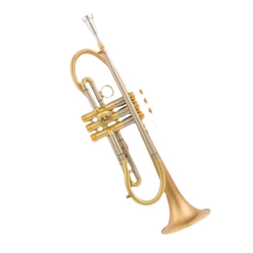 Standard Trompete Professionelles TR800-Trompeteninstrument mit Gold-Kupfer-Versilberung und B-Dur-Beschichtung(Color:Gold) von ALFAAL