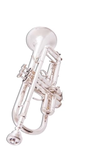 Standard Trompete Versilberte Trompete professionelles Spielinstrument versilberte Trompete in B-Dur für Anfänger von ALFAAL