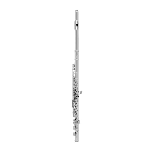 offene Flöte 16 Geschlossene Löcher C-Flöte Professionelles Querflöte-Konzertmusikinstrument Mit Box-Tuch-Stick-Handschuhen(Silver) von ALFAAL