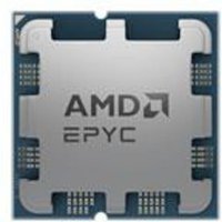 AMD EPYC 4464P 12x 3,7 GHz 64MB L3-Cache CPU Sockel AM5 Tray ohne Kühler von AMD