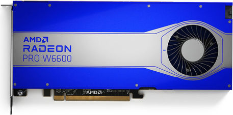 AMD Radeon Pro W6600 - Grafikkarten - Radeon Pro W6600 - 8 GB GDDR6 - PCIe 4.0 x8 - 4 x DisplayPort von AMD