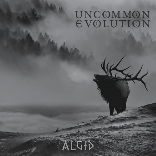 Algid [Vinyl LP] von ARGONAUTA