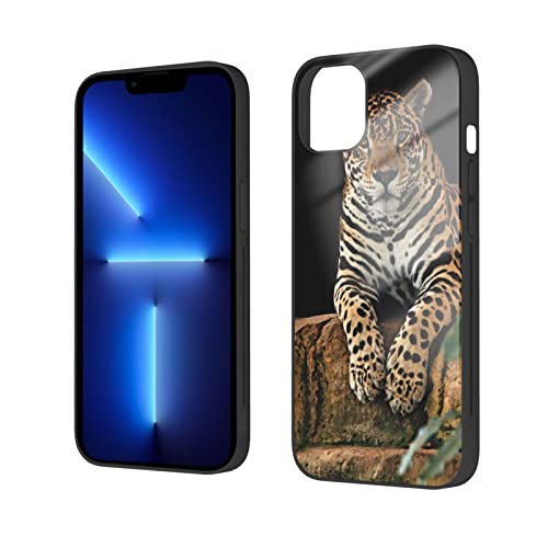 AROONS Afrikanische Wildtiere Leopard On Rock bedruckte Handyhülle für iPhone 14 Hülle 6,1 Zoll Stoßfest Gehärtetes Glas Case Cover, Anti-Fingerabdruck, kein Vergilben von AROONS