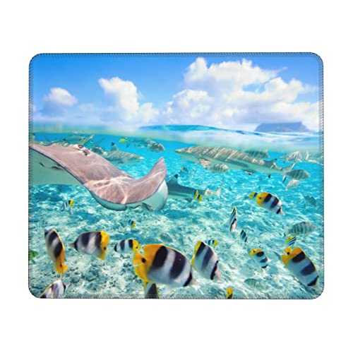 Gaming-Mauspad mit bunten Fischen, rutschfeste Gummiunterseite, Computer-Mauspad für Gaming, PC, Laptop, Schreibtisch, Büro, 20 x 24 cm von AROONS