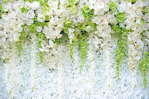 ASDCXZ Blumenwand Hintergrund 2.5x1.8m, Frühling Weiß Grün Blume Wand Fotowand Hintergrund, Vinyl Fotobox Hintergrund für Hochzeit Geburtstag Brautdusche Party, Portrait Fotostudios Hintergründe von ASDCXZ