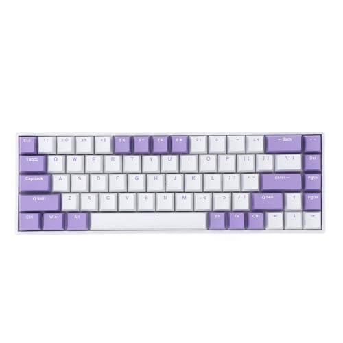 ASHATA Tragbare 60% Mechanische Gaming Tastatur, Roter Schalter, RGB Multi Lichtmodi, Kompakte 68 Tasten, 2,4 G BT Typ C Kabelgebundene Tastatur für Win für Android für von ASHATA