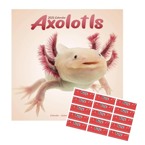 Axolotls Kalender 2024 mit kostenlosen Organisationsaufklebern von AVONSIDE