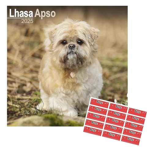 Lhasa Apso Kalender 2025 | 16-Monatskalender | 24. September bis 25. Dezember von AVONSIDE