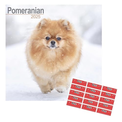 Pomeranian Kalender 2025, 16 Monate, mit Organisationsaufklebern von AVONSIDE