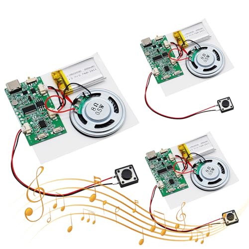 USB Soundmodul AYWHP 3PCS Musik Sprachaufzeichnungsmodul mit Lautsprecher MP3 USB Kabel Aufladbarer Akku, Top Lautsprecher für DIY Karten, Geschenke, Spielwaren, selbst gestalten von AYWHP