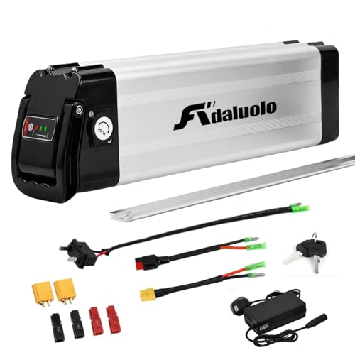 Adaluolo 36V Ebike Akku, 36V 10AH Elektrofahrrad Lithium-Ionen Batterie Silber Pedelec Herausnehmbare Fahrrad Batterie Ersatzakku 2 Pin mit Ladegerät für 200W 250W 350W Motor von Adaluolo