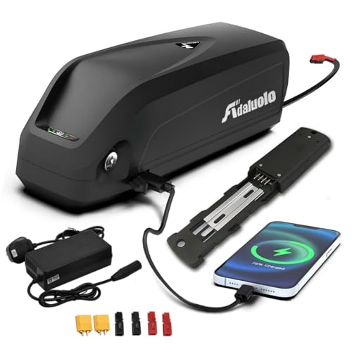 Adaluolo 48V Ebike Akku 15AH Hailong Ebike Batterie Elektrofahrrad Lithium-Ionen Fahrrad Batterien mit Ladegerät, USB-Anschluss, 4 Pin Grundplatte für 500W 750W 1000W Motor von Adaluolo