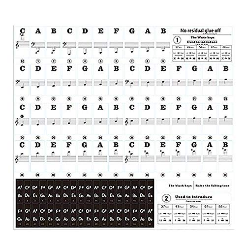 Adririv 88 Tasten 61 Tasten 54 Tasten Durchsichtiges Klavier Tastatur Aufkleber Elektronische Tastatur Aufkleber Tab Musikalische Taste Aufkleber von Adririv