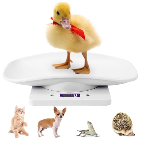 küchenwaage digital, waage küchenwaage, kitchen scale, Profi Digitale Küchenwaage, Digitalwaage für Essen Katzen Hunde Welpen Gewichtsmessung babywaage mit LCD-Anzeige für kleine Haustiere bis 10kg von Agatige