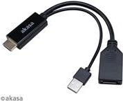 Akasa HDMI zu DisplayPort Adapater Kabel - schwarz - Kabel - Digital/Display/Video HDMI-Kabel 250 m HDMI Typ A (Standard) (AK-CBHD24-25BK) von Akasa