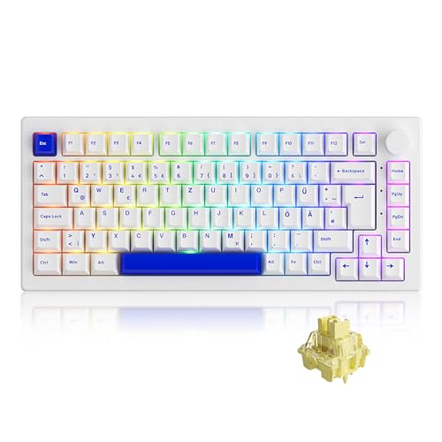 Akko 5075B Plus Mechanische Gaming-Tastatur, 3-Mode 75% DE Layout Wireless Gaming-Tastatur mit Hot-Swappable Linear Switch, Dichtung, Cherry PBT-Tasten, Drehknopf für Win/Mac (Blau auf Weiß) von Akko