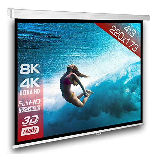 SlenderLine Beamer Leinwand 220 x 173 cm | Format 4:3 | 1.2 Gain | FULL-HD 4K 8K & 2D/3D geeignet | manuelle Rolloleinwand für Heimkino und Präsentation | 4-kant Gehäuse - direkte Decken- bzw. Wandmontage von Alphavision