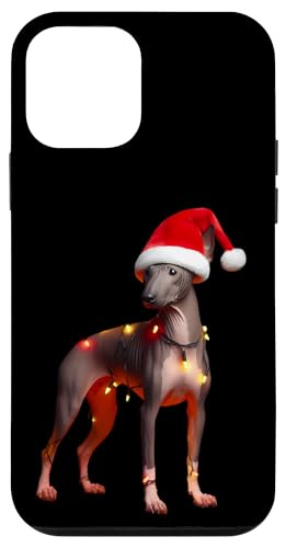 Hülle für iPhone 12 mini American Hairless Terrier Weihnachtsmannmütze Weihnachtsbeleuchtung Hund Mama von American Hairless Terrier Christmas Products