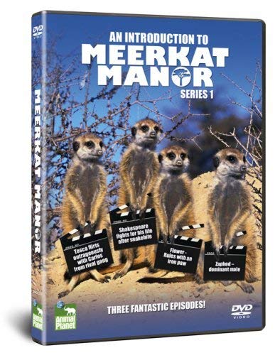 An Introduction To Meerkat Manor - Series 1 [DVD] [UK Import] von Animal Planet